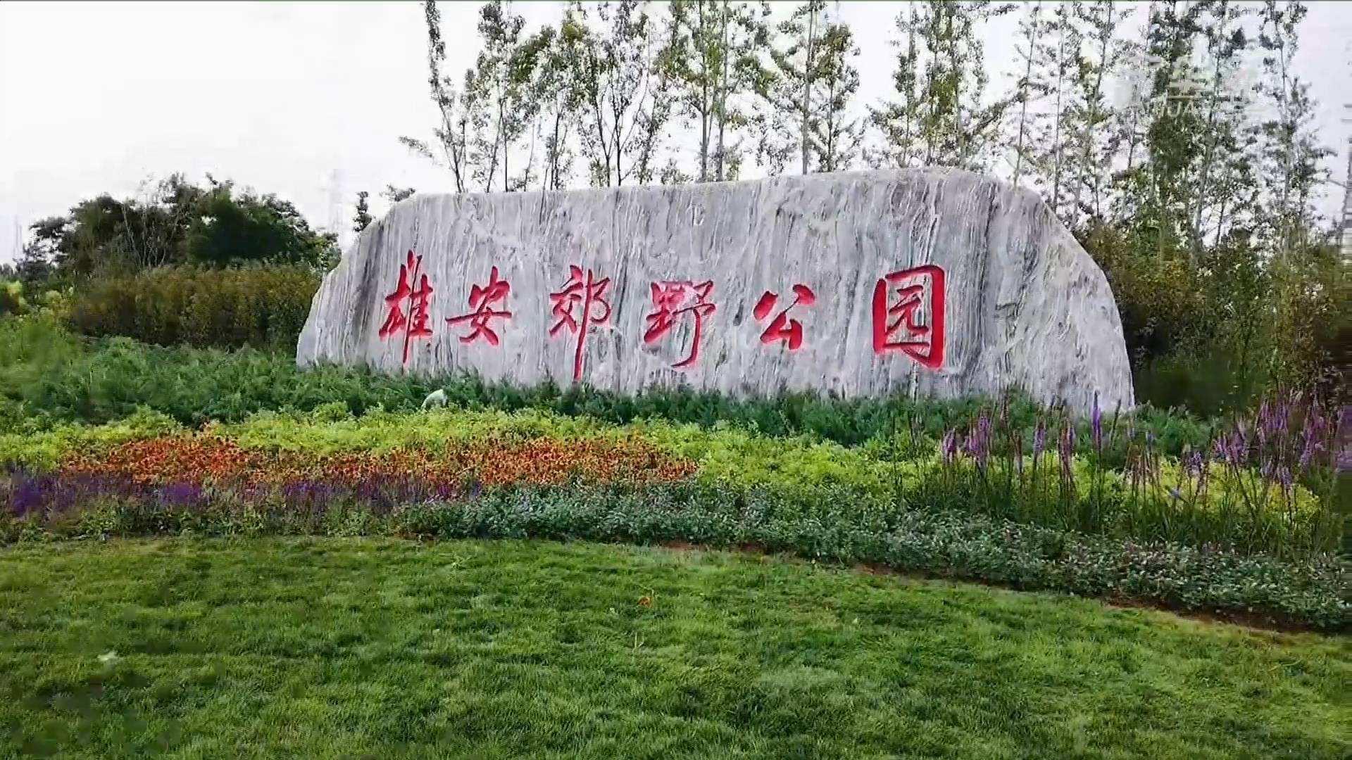 itb8888通博(中国区)官方网站电气雄安郊外公园建设工程及配套设施项目